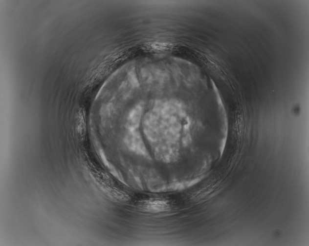 X0000116060651200912111529