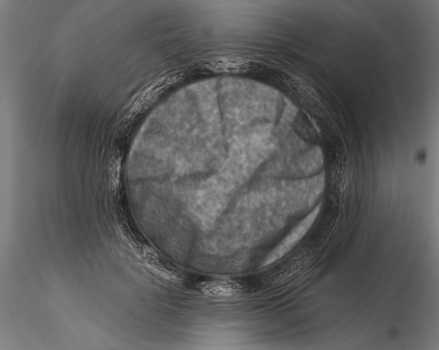 X0000116060652200912111529