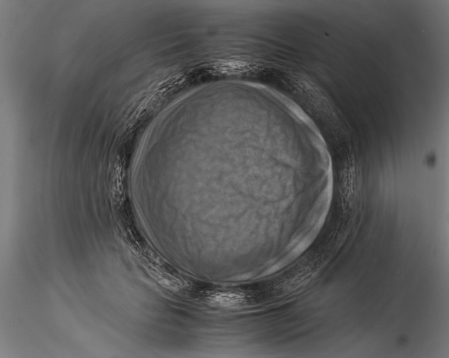 X0000116060653200912111529