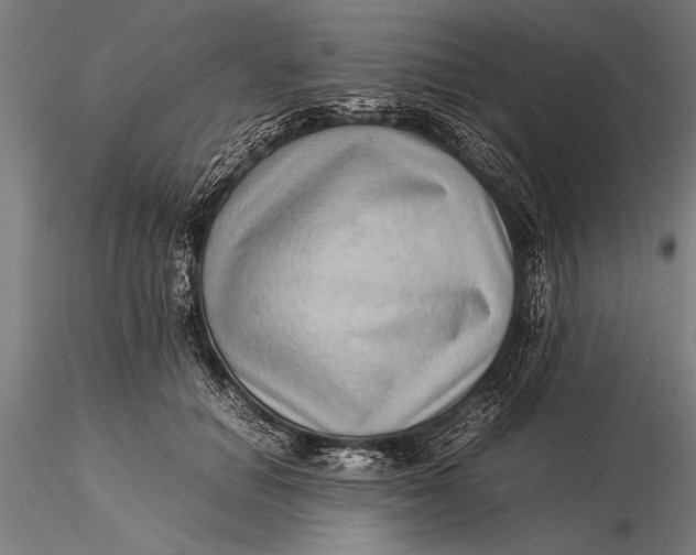 X0000116060654200912111529