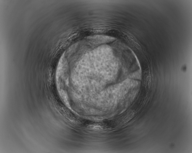 X0000116060655200912111529