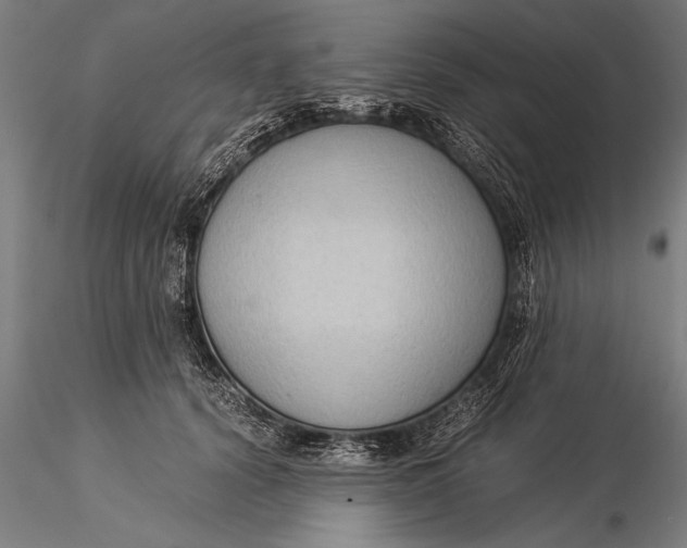 X0000116060656200912111529