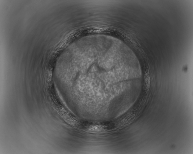 X0000116060657200912111529