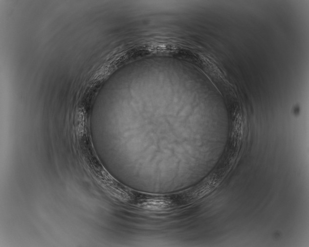 X0000116060659200912111529