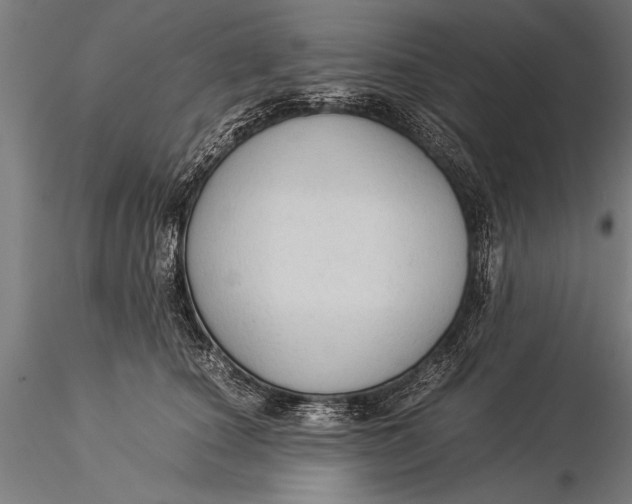 X0000116060660200912111529