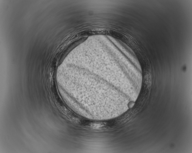 X0000116060662200912111529