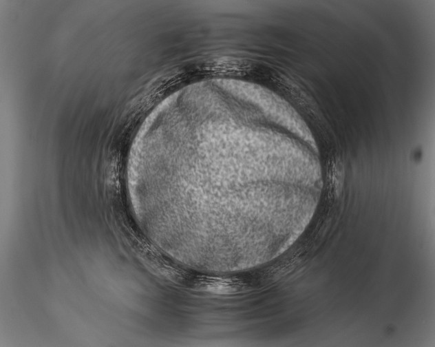 X0000116060663200912111529