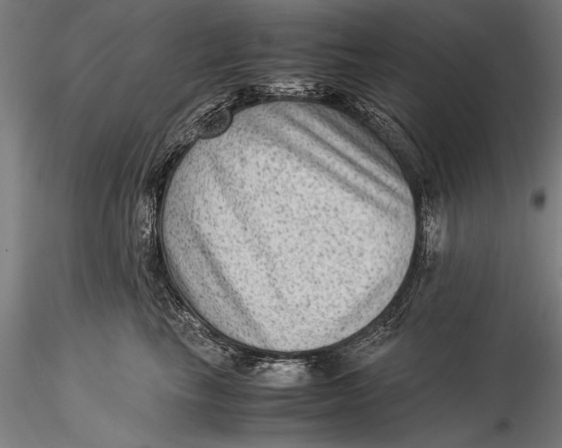 X0000116060665200912111529