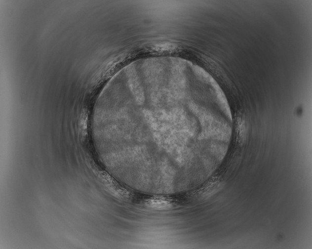 X0000116060668200912111530