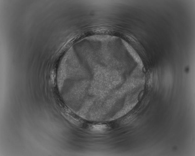 X0000116060669200912111530