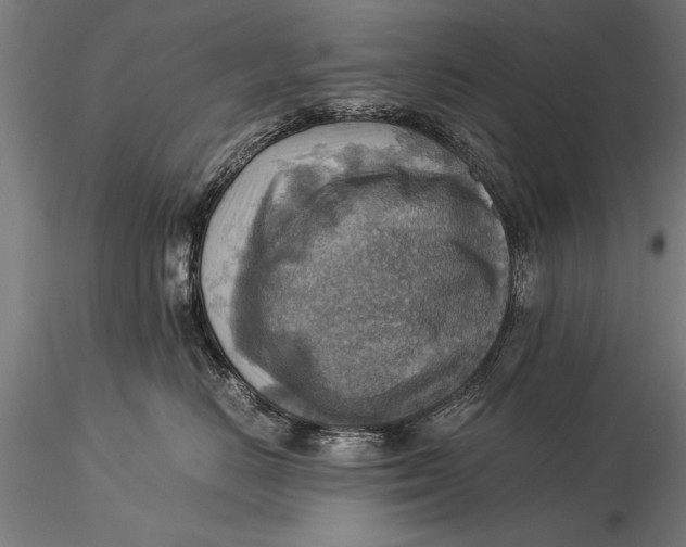 X0000116060670200912111530