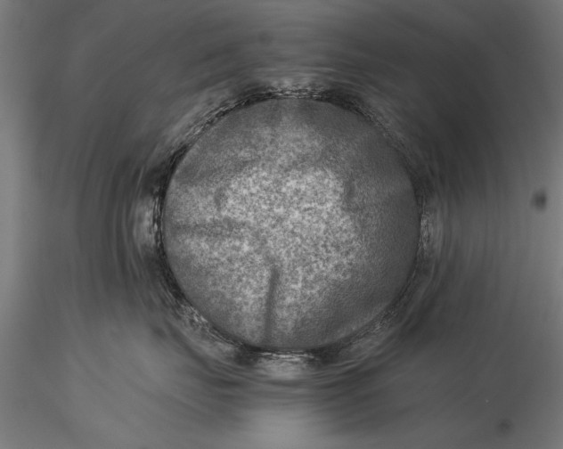 X0000116060671200912111530