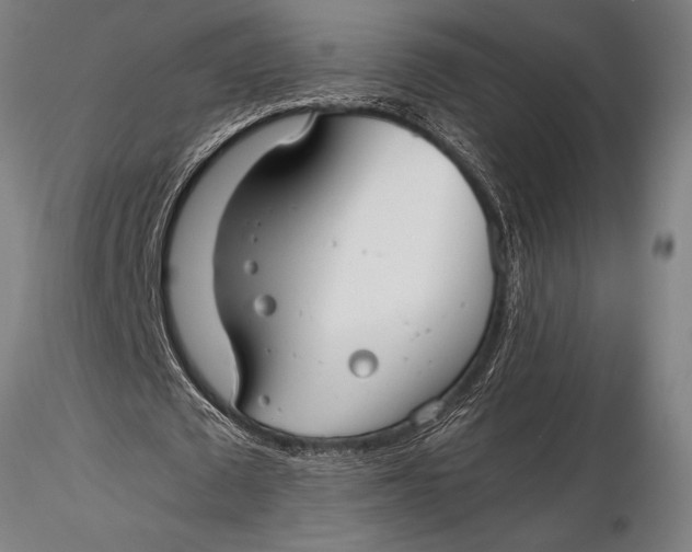 X0000116060673200912111529