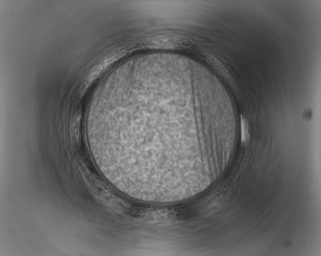 X0000116060675200912111529