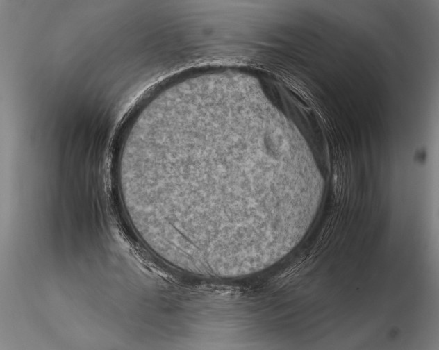 X0000116060676200912111529