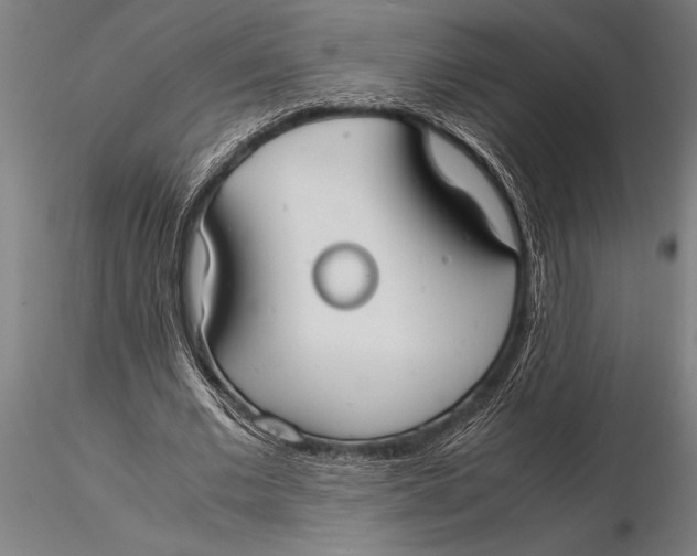 X0000116060677200912111529