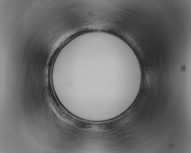 X0000116060678200912111528