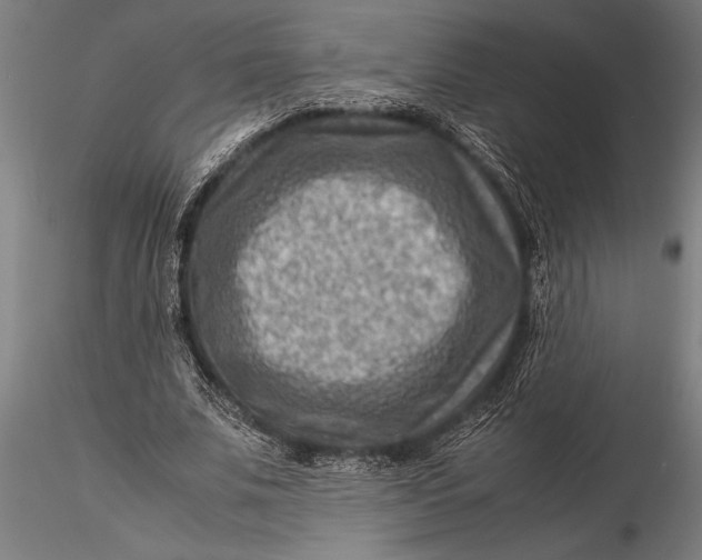 X0000116060679200912111528