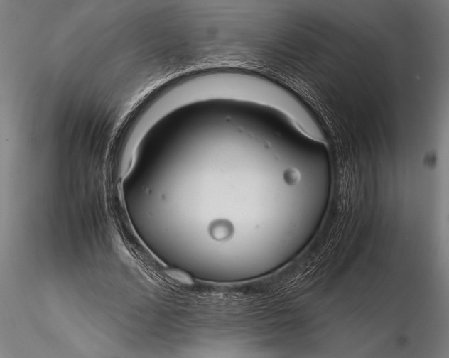 X0000116060680200912111528