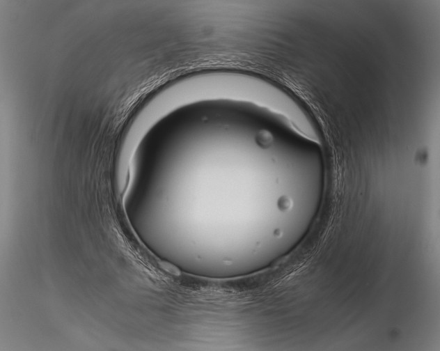 X0000116060681200912111528