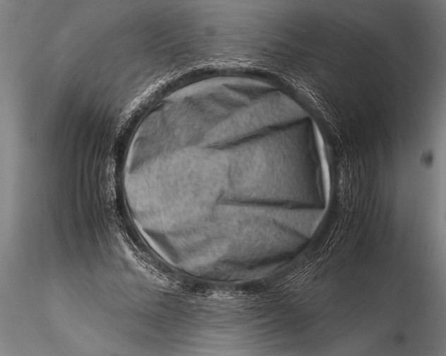 X0000116060684200912111528