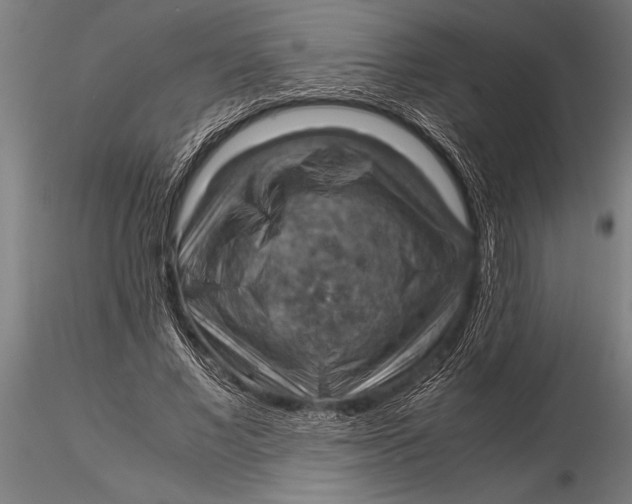 X0000116060685200912111528