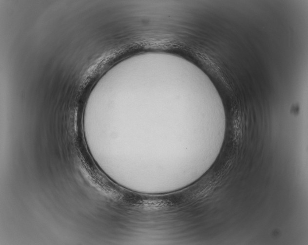 X0000116060686200912111528