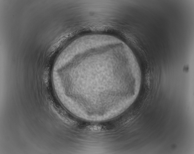 X0000116060687200912111528