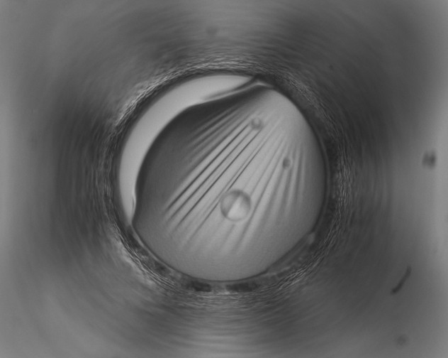 X0000116060688200912111528