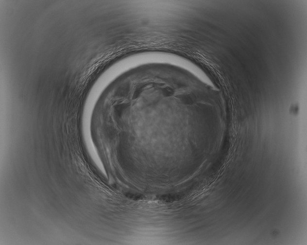 X0000116060689200912111528