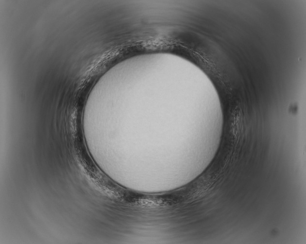 X0000116060690200912111528