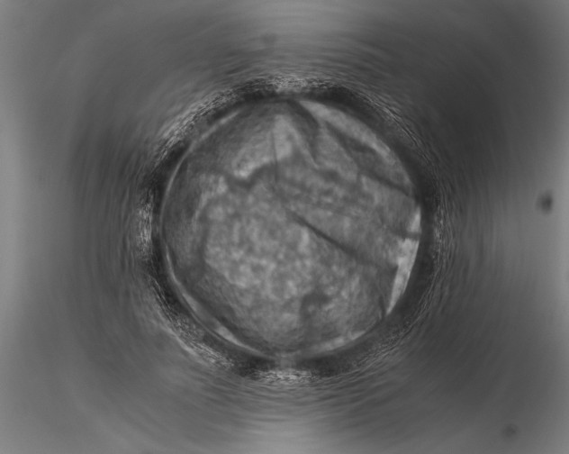 X0000116060691200912111528