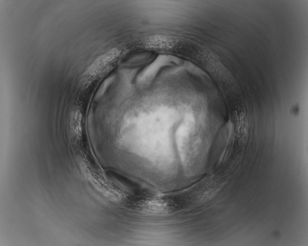 X0000116060692200912111528