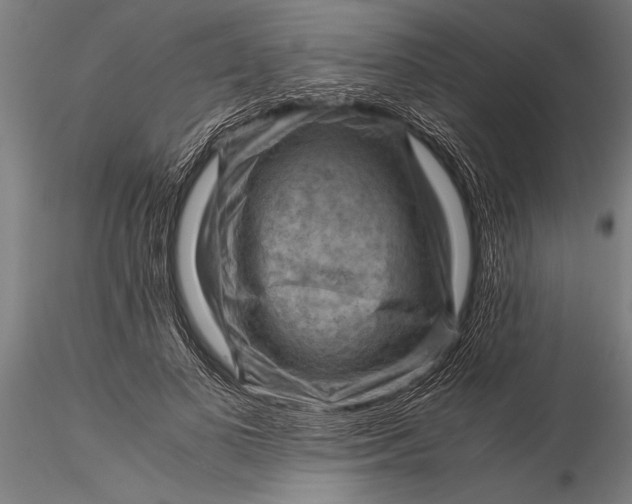 X0000116060693200912111528