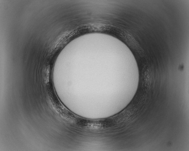 X0000116060694200912111528