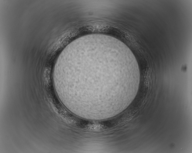 X0000116060695200912111528