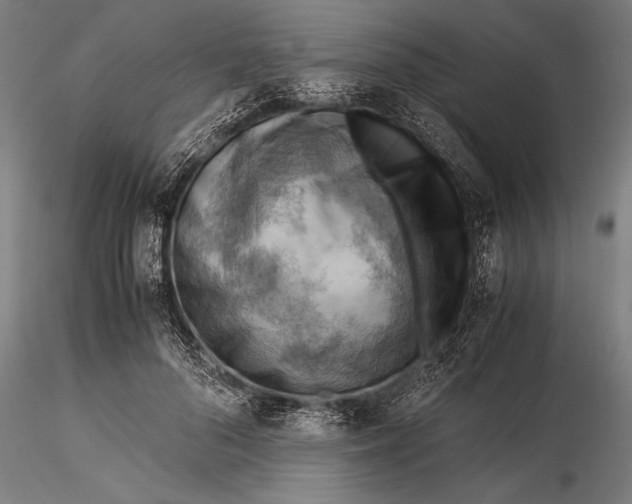 X0000116060696200912111528