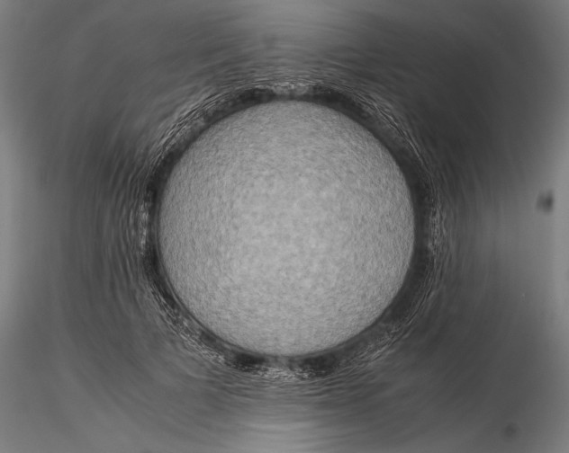 X0000116060697200912111528