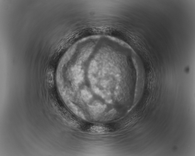 X0000116060699200912111528