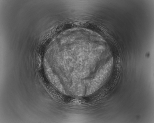 X0000116060703200912111528