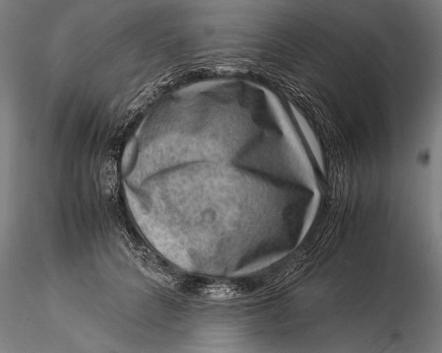 X0000116060704200912111528