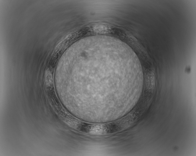 X0000116060705200912111528