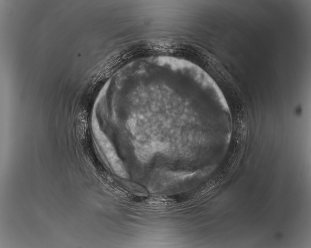 X0000116060707200912111528