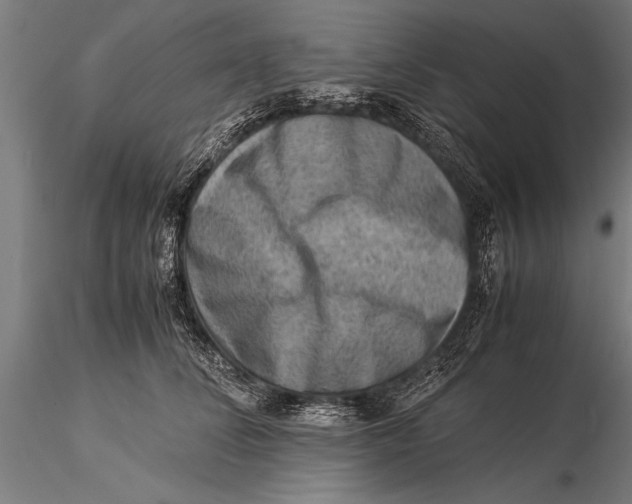 X0000116060708200912111528