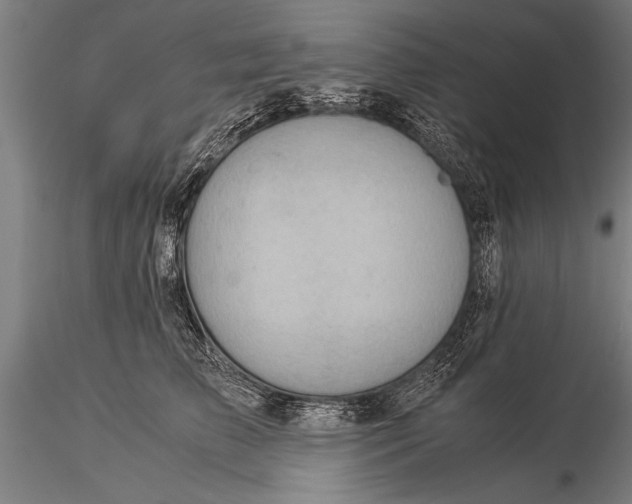 X0000116060709200912111528