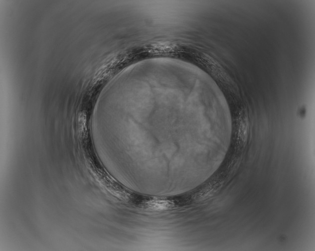 X0000116060711200912111528