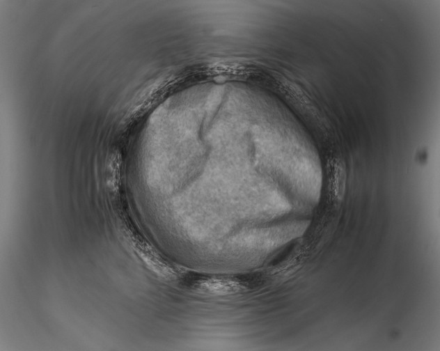 X0000116060712200912111528