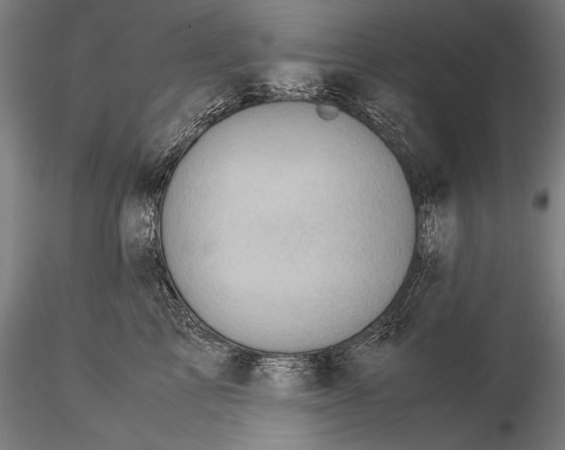 X0000116060713200912111528