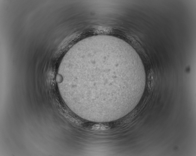 X0000116060714200912111528