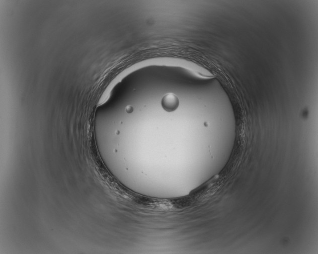 X0000116060715200912111528